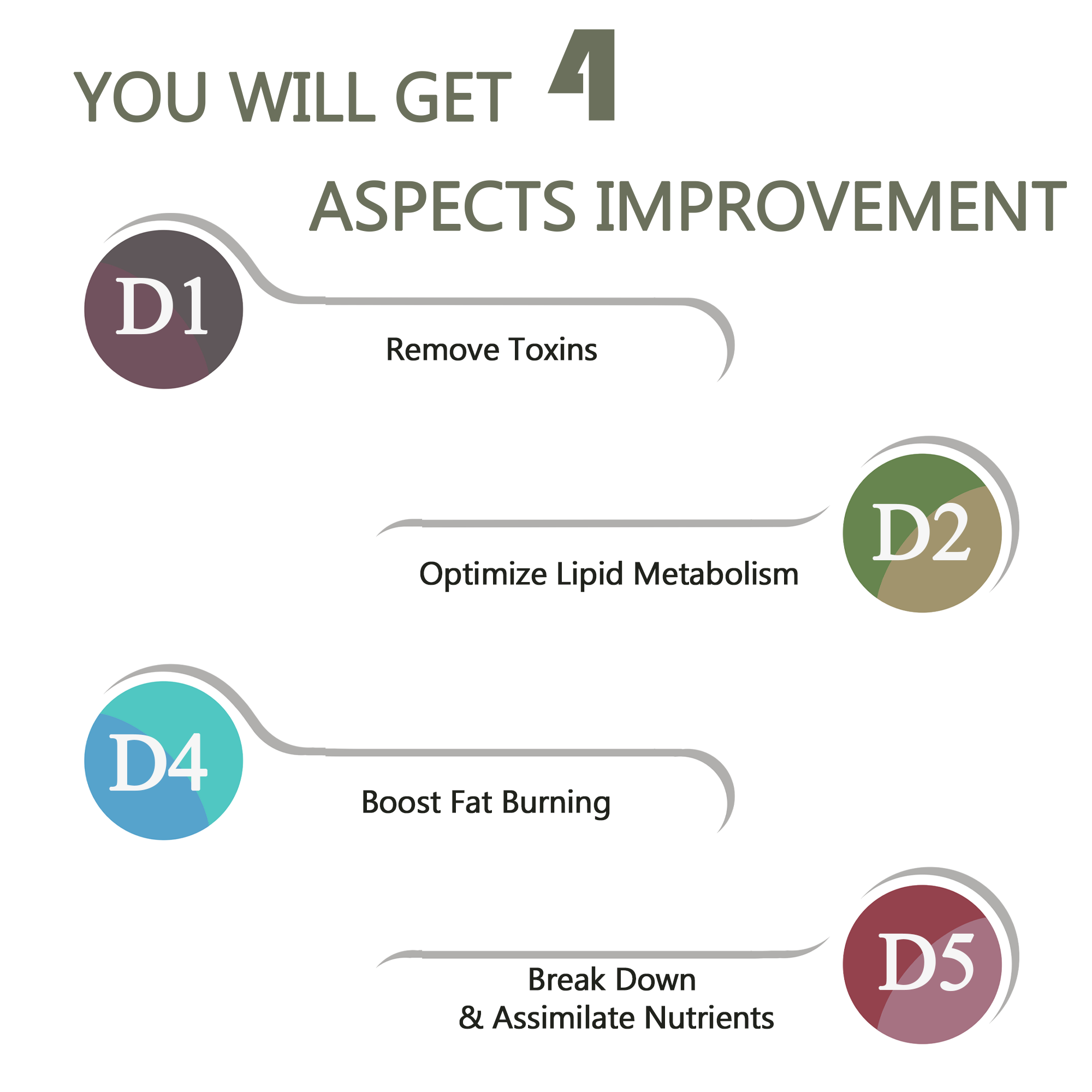 Digestive Conditioning Set