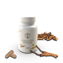 Cordyceps Mushroom