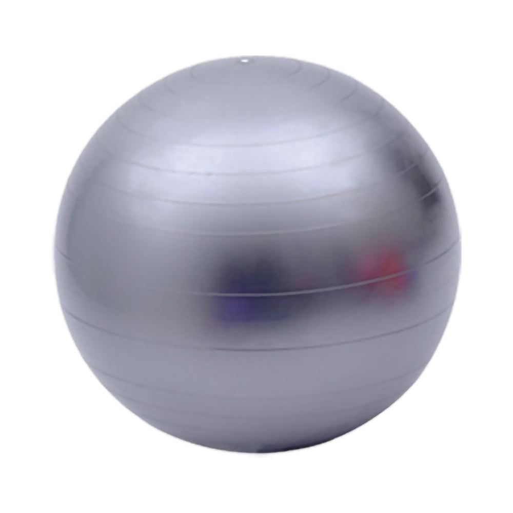 GIFT: Grey Excerise Ball A Quality Life Nutrition 
